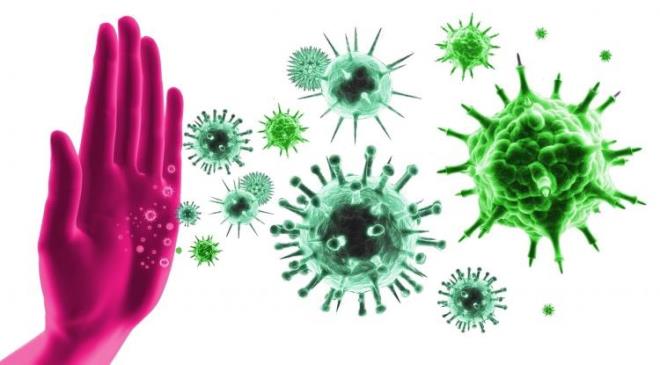 BAIIKLII GLENDREN ORBA TARF:  <br>  MALZEMELER  <br>  9-10 yaprak spanak  <br>  1 avu brokoli  <br>  3-4 kereviz sap ve yaprak ksm  <br>  1 adet havu  <br>  1 tutam maydanoz  <br>  1 yemek ka bulgur  <br>  1 sere parmak kalnlnda zencefil  <br>  2 di sarmsak  <br>  1 yemek ka zeytinya  <br>  Pulbiber, kimyon, karabiber