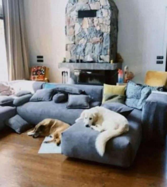 nl oyuncunun evi, grenleri hayran brakt.