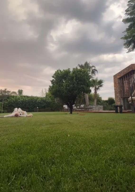 Hem i dekorasyonuyla hem de k bahesiyle byleyen ev, sosyal medyann gndemine dt.