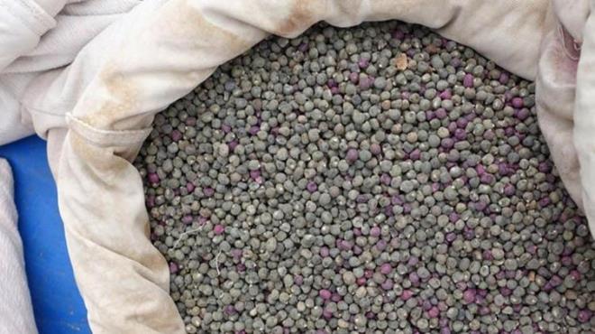 Lif ve antioksidanlar, kolesterol seviyelerini d�zenleyerek kalp sa�l���n� destekler. Lifin kan �ekerini dengelemedeki rol�, bamya tohumunu diyabet y�netiminde etkili k�lar.