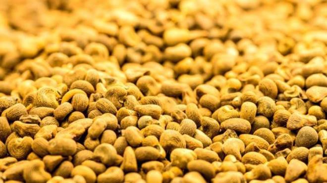 Bamya tohumu �zellikle A, C ve B vitaminleri a��s�ndan zengindir. Bu vitaminler, ba����kl�k sistemini g��lendirir, cilt sa�l���n� destekler ve enerji �retimine katk�da bulunur.