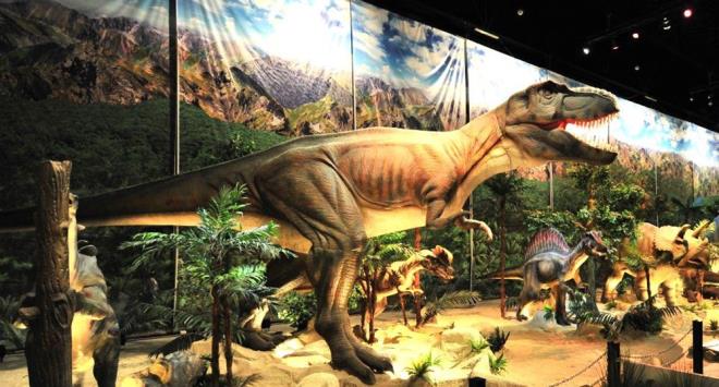 JURASSC LAND    Eitimle elenceyi birletiren konseptini Trkiye ile tantran Jurassic Land, sadece grsel bir len yaratmakla kalmyor, kk byk herkesin ilgisini ekiyor.    Deneyimli rehberler eliinde gerekletirilen turlarda tm ziyaretiler efsanevi dinozorlar hem yakndan tanyor hem de dnem hakknda bilgi sahibi oluyor.