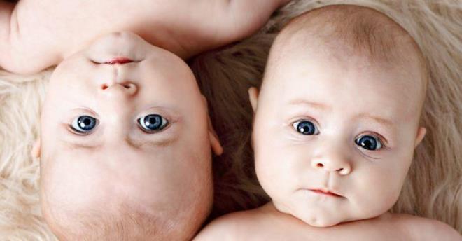 Yaz Efe- Yiit Efe    Kuzey- Gney    mer- Faruk