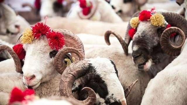 2024 ylnda Kurban Bayram tatili 4 gn olacak.  <br>  Kurban Bayram Arefe (leden Sonra): 15 Haziran 2024 Cumartesi balayacak, 19 Haziran 2024 aramba gn sona erecek.