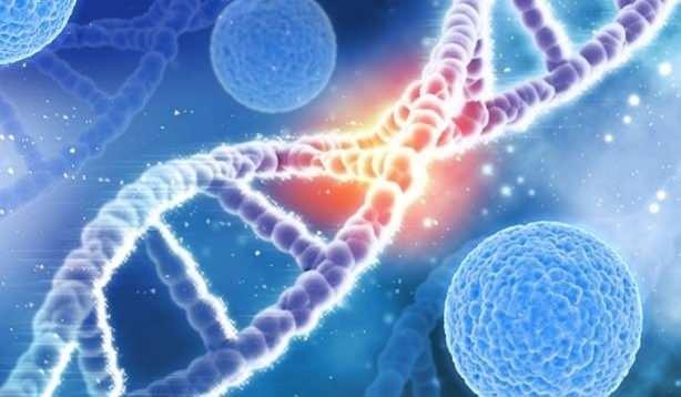 Yaplan aratrmann bayazar Ciceron Ayala Orozco, teknolojinin imdilik sadece fareler zerinde denendiini ve prensipte altn ifade etti.