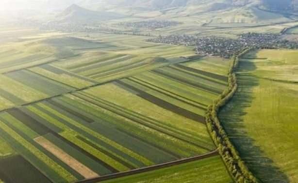 hale duyurusunda tarih, ihale koullar, belirlenen ihale fiyat ve ihaleyi dzenleyen il/ile Milli Emlak Mdrl'nn iletiim bilgileri yer alrken bu duyurularn, belirli tarihlerde dzenlenen rekabeti ak artrma yntemiyle, en yksek teklifi veren kiiye mlklerin satlmas salanyor.