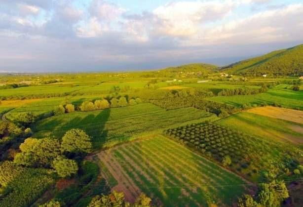 Tarm arazileri ve Maliye Bakanl'na ait arazilerin sat hz kesmeden devam ederken, bu satlarla ilgili tm ilanlar, evre, ehircilik ve klim Deiiklii Bakanl'na bal Milli Emlak Mdrl'nn resmi internet sitesi zerinden gerekletiriliyor.