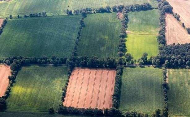 Buna ek olarak Milli Emlak'n ihalesi araclyla arsa sahibi olan vatandalar, sahibi olduklar yeni tanmaz iin 5 yl boyunca emlak vergisinden ve KDV'den muaf tutulacak.