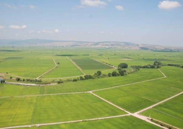 Baka bir bavuru kanalnn olmadnn altn izen uzmanlar, uygun fiyatl arsa alm iin vatandalarn internet kanaln kullanarak bavuruda bulunmalarnn yeterli olacan ifade etti.