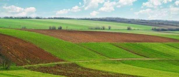 Anadolu ehirleri bata olmak zere, 300 metrekarenin zerinde bulunan ok sayda arazi, 7 bin 412 liradan balayan fiyatlarla ilanlara koyulurken ilerleyen yllarda deerlenme ihtimali bulunan arazilerin uygun fiyat dikkat ekti.
