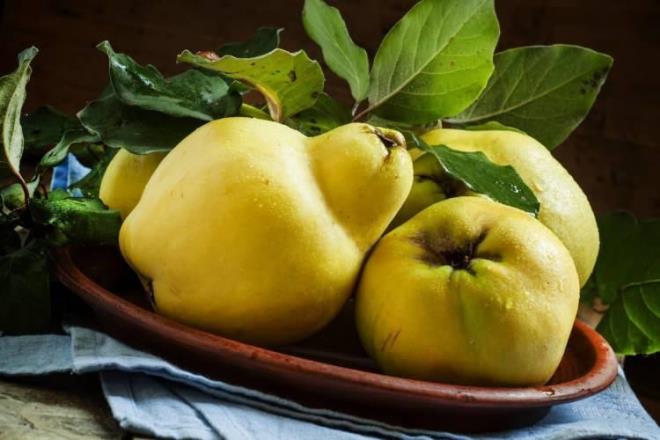 Ayva yiyip uyumak mide saln korur, asit oluumunu engeller.