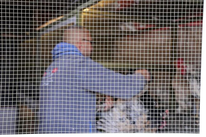 "HEDEF�M ORGAN��� HERKESE A�ILAMAK"    Hayvanlarla vakit ge�irmeyi �ok sevdi�inin alt�n� �izen Kasalak, "�ki tane farkl� yerimiz var. Arabada gezenler 10 ile 15 yumurta, onlar� m��terilerime veriyorum. Sonra ayr� yerimiz var orada da bah�ede geziyor s�rekli tavuklar, onlardan veriyorum. Direkt arabadan 20-30 koli yumurta zaten alamay�z." diye konu�tu.