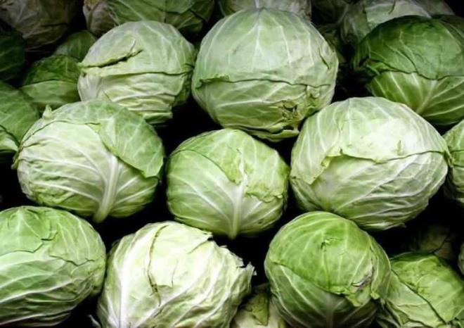 LAHANA    Lahana turusunun dnyann en nemli tbbi malzemelerinden olduunu syleyen Karatay, Alzheimer, kanser gibi hayat tehdit eden hastalklarn yan sra karacier yalanmasn engellediini ve kan ekerini dzenlediini belirtti.