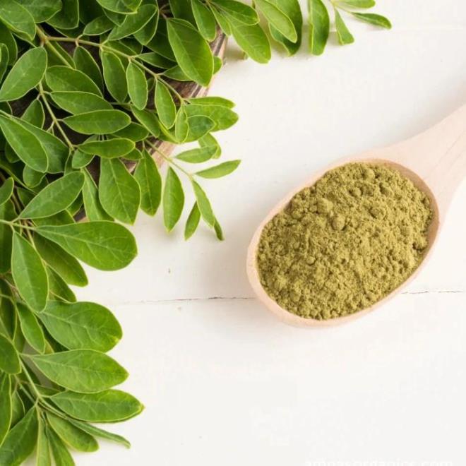 Moringa, salkl bir sindirim sistemini destekleyebilecek antiinflamatuar ve antibakteriyel zelliklere sahip bileikler ierir. yi ileyen bir sindirim sistemi, besin emilimi ve genel salk iin gereklidir. Moringa bitkisini en ok Japonlar tketiyor.