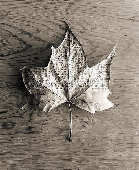 M�thi� de�i�im!