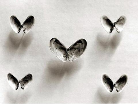 M�thi� de�i�im!