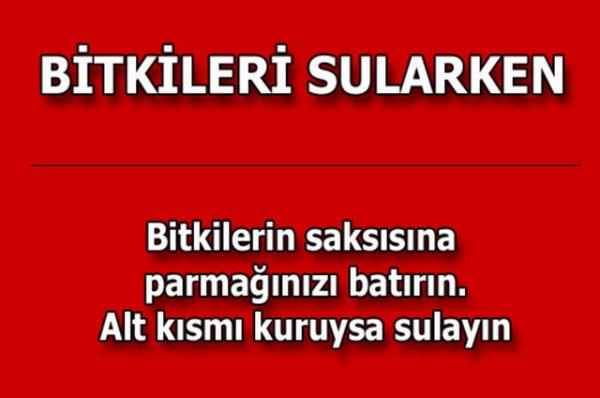 te kolayca uygulayabileceiniz mutfaktan temizlie, alveriten cilt bakmna kadar hayatnzn her alannda size yardmc olacak bilgiler...