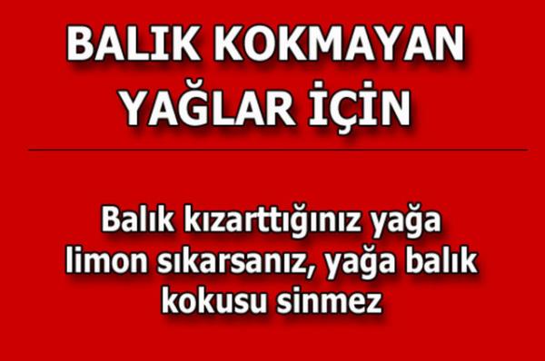 te kolayca uygulayabileceiniz mutfaktan temizlie, alveriten cilt bakmna kadar hayatnzn her alannda size yardmc olacak bilgiler...