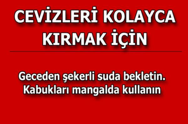te kolayca uygulayabileceiniz mutfaktan temizlie, alveriten cilt bakmna kadar hayatnzn her alannda size yardmc olacak bilgiler...