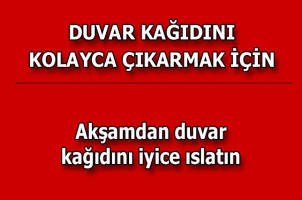 te kolayca uygulayabileceiniz mutfaktan temizlie, alveriten cilt bakmna kadar hayatnzn her alannda size yardmc olacak bilgiler...