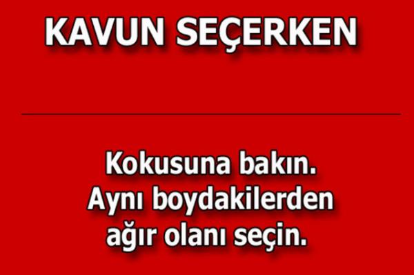 te kolayca uygulayabileceiniz mutfaktan temizlie, alveriten cilt bakmna kadar hayatnzn her alannda size yardmc olacak bilgiler...