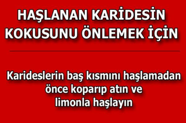te kolayca uygulayabileceiniz mutfaktan temizlie, alveriten cilt bakmna kadar hayatnzn her alannda size yardmc olacak bilgiler...