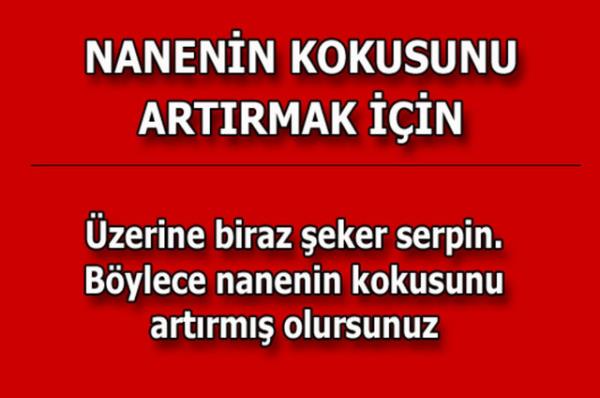 te kolayca uygulayabileceiniz mutfaktan temizlie, alveriten cilt bakmna kadar hayatnzn her alannda size yardmc olacak bilgiler...