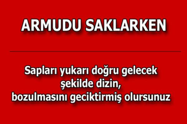 te kolayca uygulayabileceiniz mutfaktan temizlie, alveriten cilt bakmna kadar hayatnzn her alannda size yardmc olacak bilgiler...