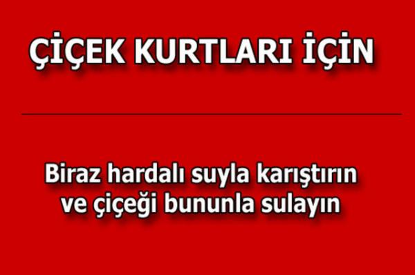 te kolayca uygulayabileceiniz mutfaktan temizlie, alveriten cilt bakmna kadar hayatnzn her alannda size yardmc olacak bilgiler...