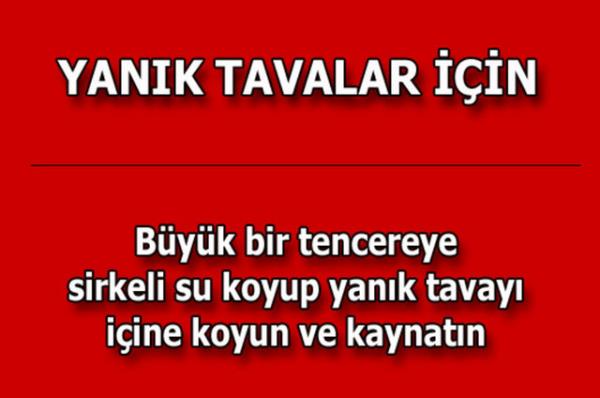 te kolayca uygulayabileceiniz mutfaktan temizlie, alveriten cilt bakmna kadar hayatnzn her alannda size yardmc olacak bilgiler...