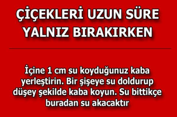 te kolayca uygulayabileceiniz mutfaktan temizlie, alveriten cilt bakmna kadar hayatnzn her alannda size yardmc olacak bilgiler...