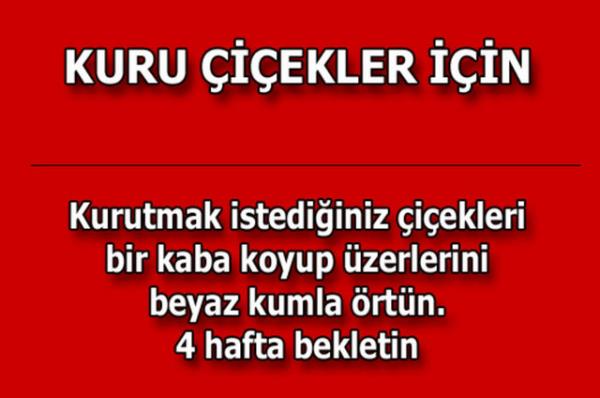 te kolayca uygulayabileceiniz mutfaktan temizlie, alveriten cilt bakmna kadar hayatnzn her alannda size yardmc olacak bilgiler...