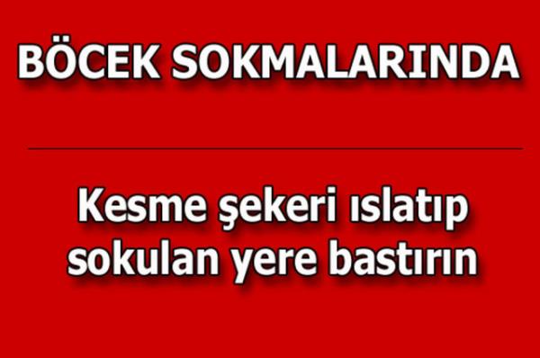 te kolayca uygulayabileceiniz mutfaktan temizlie, alveriten cilt bakmna kadar hayatnzn her alannda size yardmc olacak bilgiler...