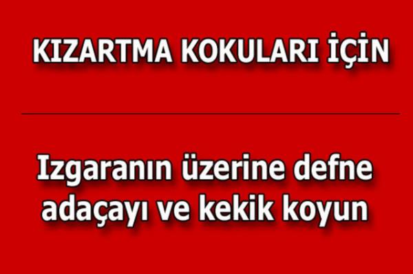 te kolayca uygulayabileceiniz mutfaktan temizlie, alveriten cilt bakmna kadar hayatnzn her alannda size yardmc olacak bilgiler...