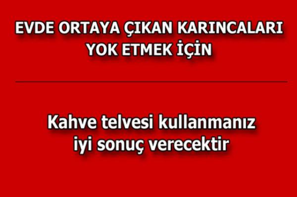 te kolayca uygulayabileceiniz mutfaktan temizlie, alveriten cilt bakmna kadar hayatnzn her alannda size yardmc olacak bilgiler...
