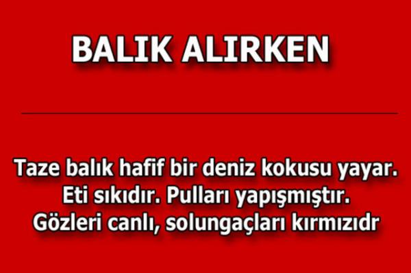 te kolayca uygulayabileceiniz mutfaktan temizlie, alveriten cilt bakmna kadar hayatnzn her alannda size yardmc olacak bilgiler...