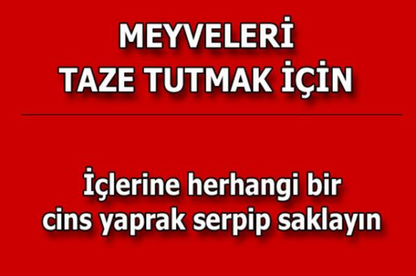 te kolayca uygulayabileceiniz mutfaktan temizlie, alveriten cilt bakmna kadar hayatnzn her alannda size yardmc olacak bilgiler...