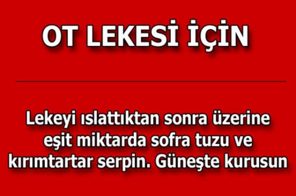 te kolayca uygulayabileceiniz mutfaktan temizlie, alveriten cilt bakmna kadar hayatnzn her alannda size yardmc olacak bilgiler...