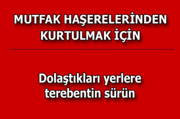 te kolayca uygulayabileceiniz mutfaktan temizlie, alveriten cilt bakmna kadar hayatnzn her alannda size yardmc olacak bilgiler...