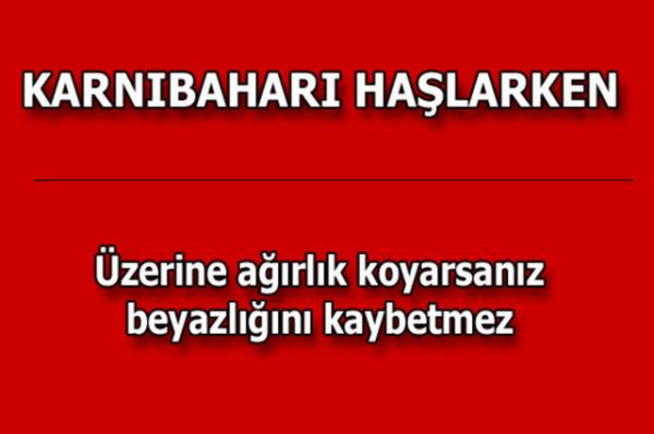 te kolayca uygulayabileceiniz mutfaktan temizlie, alveriten cilt bakmna kadar hayatnzn her alannda size yardmc olacak bilgiler...