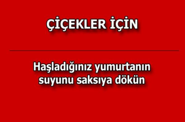 te kolayca uygulayabileceiniz mutfaktan temizlie, alveriten cilt bakmna kadar hayatnzn her alannda size yardmc olacak bilgiler...