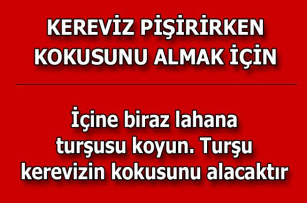 te kolayca uygulayabileceiniz mutfaktan temizlie, alveriten cilt bakmna kadar hayatnzn her alannda size yardmc olacak bilgiler...