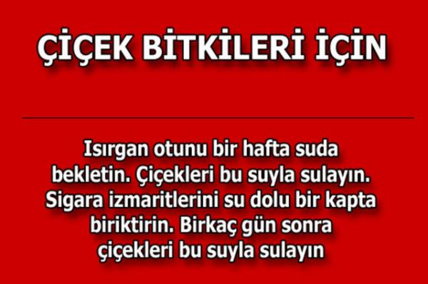 te kolayca uygulayabileceiniz mutfaktan temizlie, alveriten cilt bakmna kadar hayatnzn her alannda size yardmc olacak bilgiler...