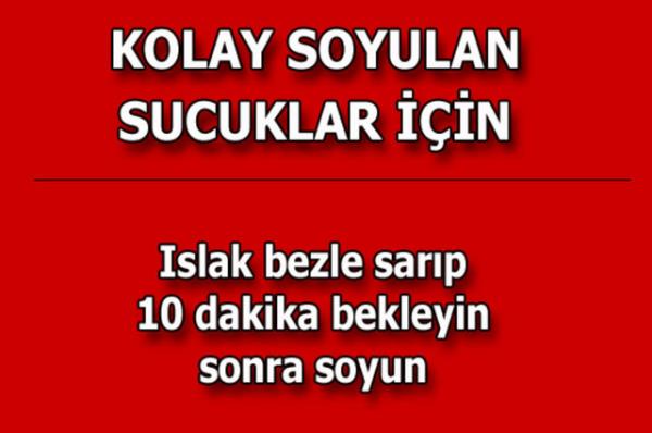 te kolayca uygulayabileceiniz mutfaktan temizlie, alveriten cilt bakmna kadar hayatnzn her alannda size yardmc olacak bilgiler...