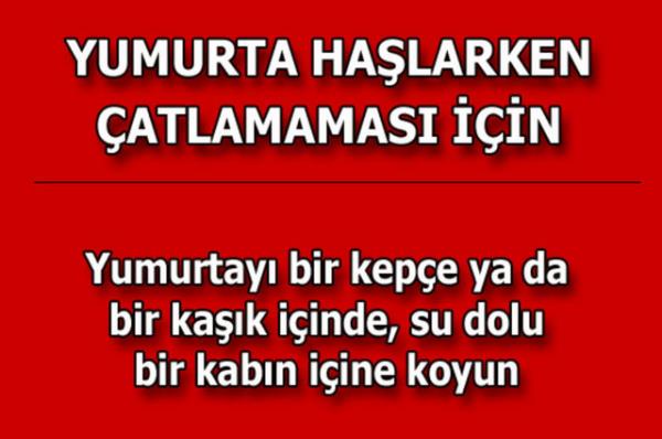 te kolayca uygulayabileceiniz mutfaktan temizlie, alveriten cilt bakmna kadar hayatnzn her alannda size yardmc olacak bilgiler...