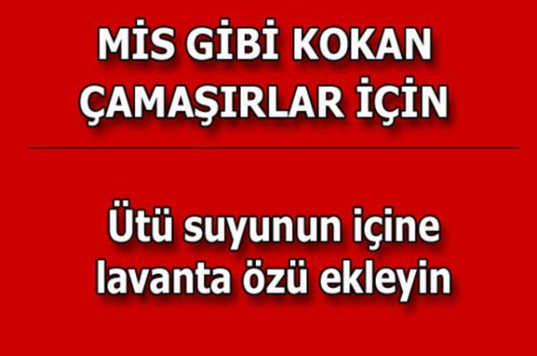 te kolayca uygulayabileceiniz mutfaktan temizlie, alveriten cilt bakmna kadar hayatnzn her alannda size yardmc olacak bilgiler...