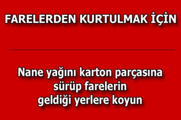 te kolayca uygulayabileceiniz mutfaktan temizlie, alveriten cilt bakmna kadar hayatnzn her alannda size yardmc olacak bilgiler...
