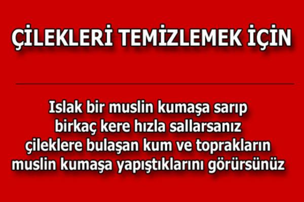 te kolayca uygulayabileceiniz mutfaktan temizlie, alveriten cilt bakmna kadar hayatnzn her alannda size yardmc olacak bilgiler...