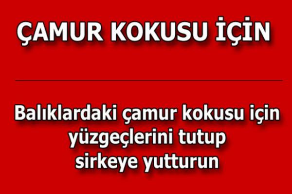 te kolayca uygulayabileceiniz mutfaktan temizlie, alveriten cilt bakmna kadar hayatnzn her alannda size yardmc olacak bilgiler...