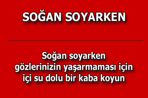 te kolayca uygulayabileceiniz mutfaktan temizlie, alveriten cilt bakmna kadar hayatnzn her alannda size yardmc olacak bilgiler...